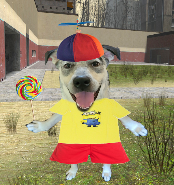 A dog in a propeller hat holding a lollipop